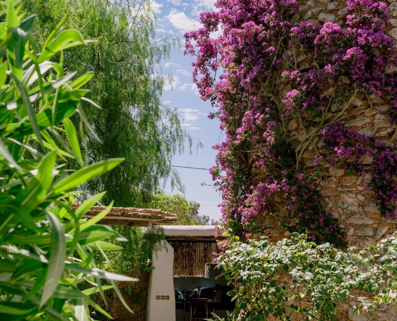 Can Quince Balafia Ibiza Hotel - Turismo De Interior Sant Llorenc de Balafia